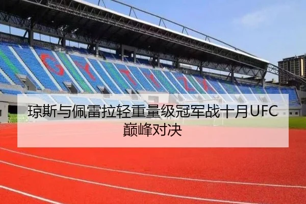 琼斯与佩雷拉轻重量级冠军战十月UFC巅峰对决