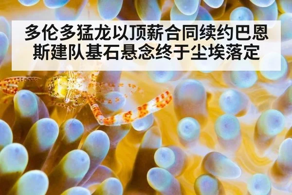 多伦多猛龙以顶薪合同续约巴恩斯建队基石悬念终于尘埃落定